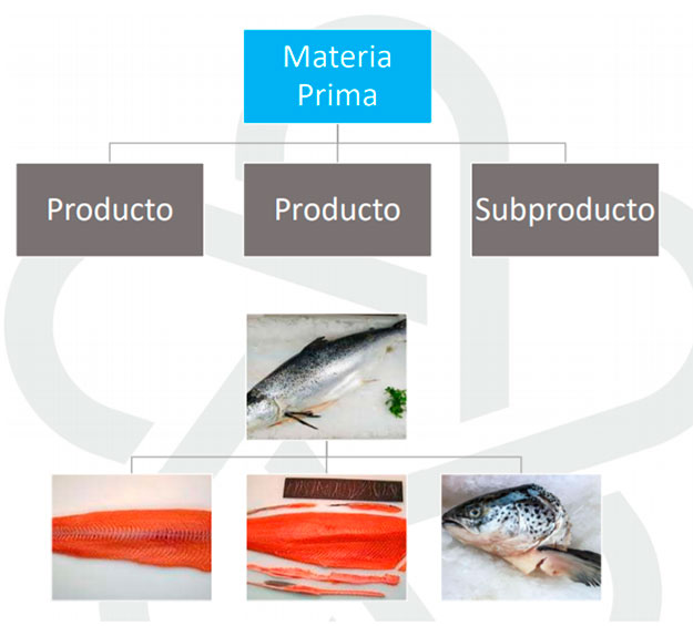 integran_despiece_clasificacion_premium_food_2 Despiece y Clasificación - Premium Food - Integran